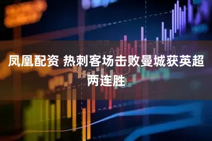 凤凰配资 热刺客场击败曼城获英超两连胜
